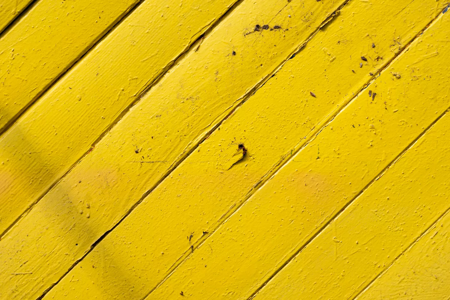 Terrasse en bois ou composite : Quel matériau choisir pour votre installation ?