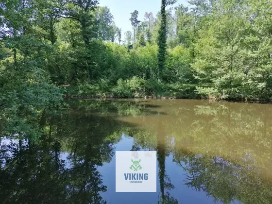 Propriété maison gite