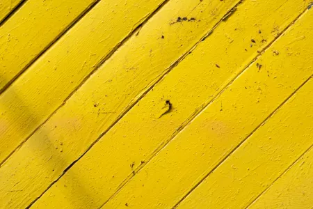 Terrasse en bois ou composite : Quel matériau choisir pour votre installation ?